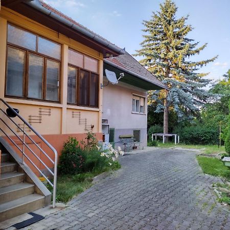 Zadora Haus Apartment Sacele Ngoại thất bức ảnh